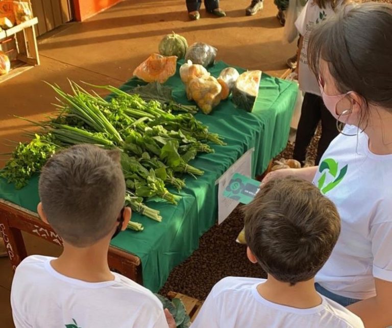 criancas-de-cidade-de-ms-aprendem-educacao-ambiental-ao-receberem-brilhantinhos-e-comprarem-alimentos