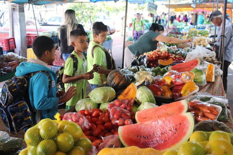 projeto-recicla-verdinho-leva-alunos-da-escola-clori-benedetti-feira