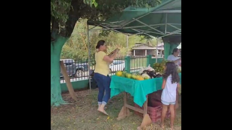fotos-brasilandia-ms