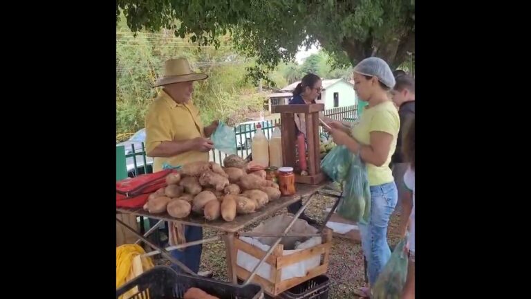 fotos-brasilandia-ms