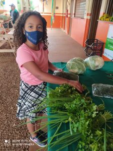 fotos-de-rio-brilhante