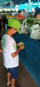 fotos-de-guaranta-do-norte