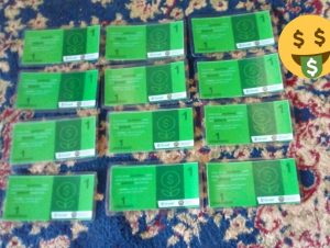 fotos-de-guaranta-do-norte