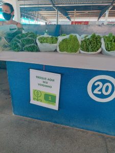 fotos-de-guaranta-do-norte