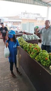 fotos-de-marcelandia