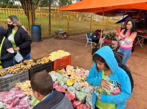 WhatsApp Image 2022-06-29 at 19.14.37 (2).jpeg fotos-dourados-ms