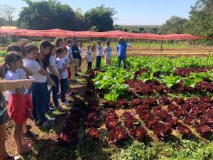 feira-do-produtor-de-costa-rica-e-reinaugurada-pelo-sebraems-e-prefeitura-municipal
