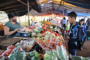Noticia Dourados1.jpeg projeto-recicla-verdinho-leva-alunos-da-escola-clori-benedetti-feira