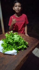 WhatsApp Image 2023-08-02 at 18.52.34.jpeg fotos-nova-alvorada-do-sul-ms