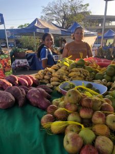 WhatsApp Image 2023-08-04 at 08.37.23.jpeg fotos-pocone-mt