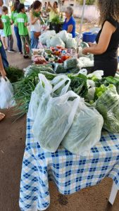 WhatsApp Image 2023-09-02 at 09.11.48.jpeg fotos-santa-rita-do-pardo-ms