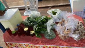 WhatsApp Image 2023-09-02 at 08.31.54.jpeg fotos-santa-rita-do-pardo-ms