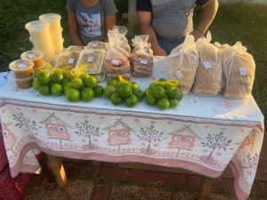 IMG-20230921-WA0032.jpg fotos-nova-andradina-ms