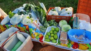 IMG-20230921-WA0039.jpg em-nova-andradina-projeto-recicla-verdinho-amplia-numero-de-criancas-atendidas