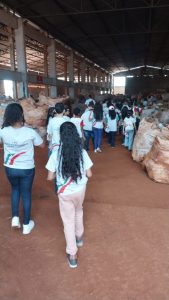 fotos-tangara-da-serra-mt