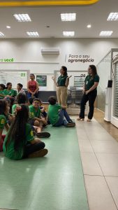 fotos-brasilandia-ms