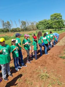 verdinho-em-brasilandia-na-praca-da-pedra