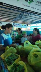 fotos-de-guaranta-do-norte