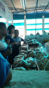 fotos-de-guaranta-do-norte