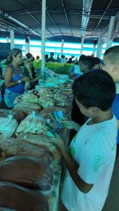 fotos-de-guaranta-do-norte