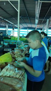 fotos-de-guaranta-do-norte