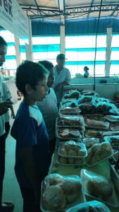 fotos-de-guaranta-do-norte