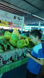 fotos-de-guaranta-do-norte