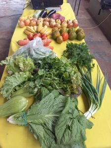 IMG-20231206-WA0064.jpg fotos-nova-alvorada-do-sul-ms