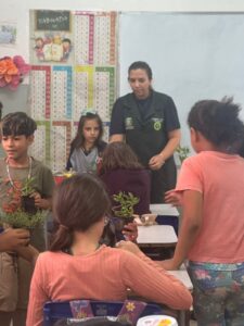 fotos-santa-rita-do-pardo-ms