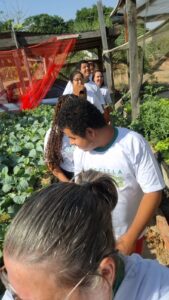 fotos-lambari-d-oeste-mt