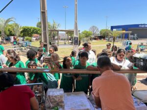 fotos-nossa-senhora-do-livramento-mt